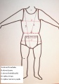 Body pro inkontinenci KLASIK - krátké rukávy, v pase guma - 1.bílá tričkovina In-Tex